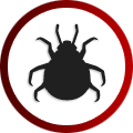 Bed Bug Treatment Calgary