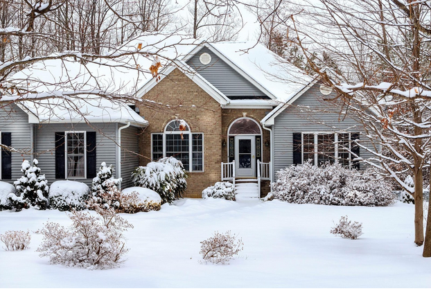 protect your home from rodents